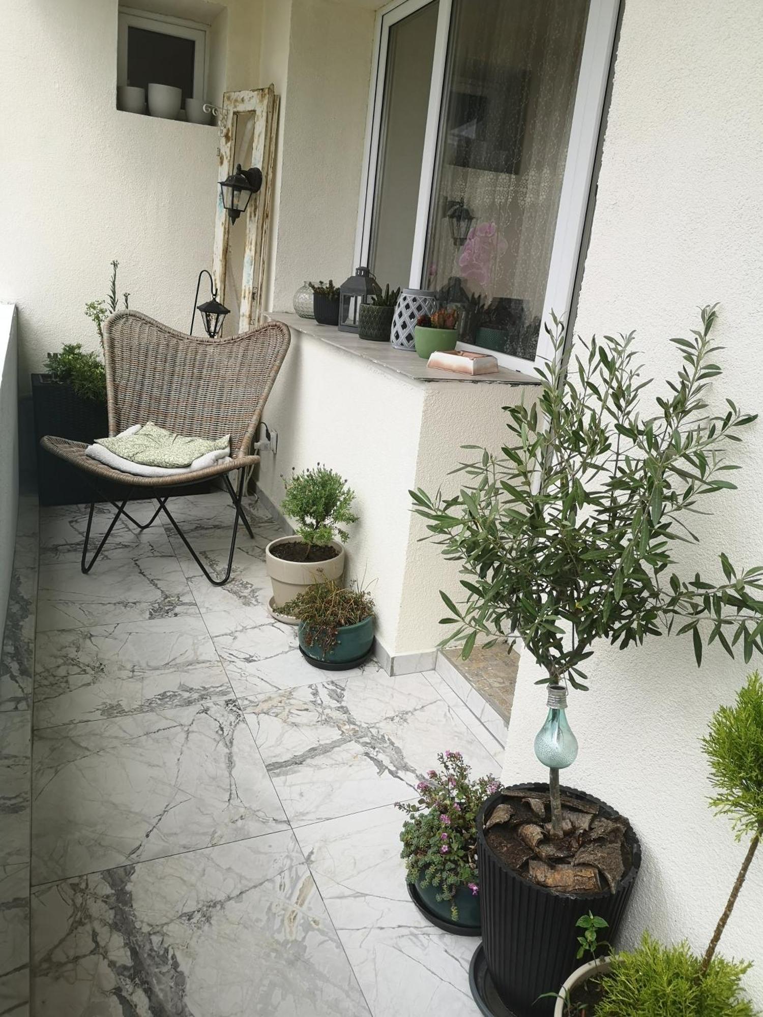 雷希察Penthouse Luxury公寓 外观 照片