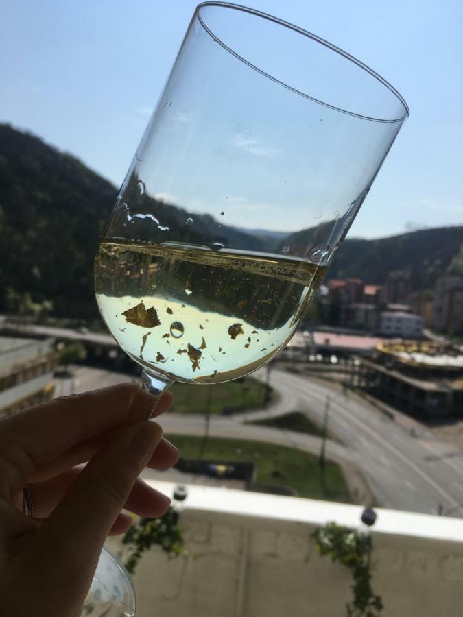 雷希察Penthouse Luxury公寓 外观 照片